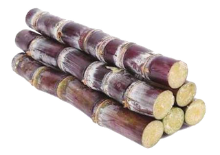 中国风免扣甘蔗海报设计元素