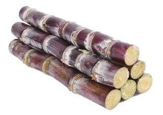 中国风免扣甘蔗海报设计元素