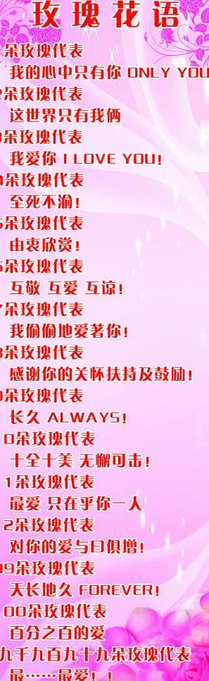 玫瑰花语图片psd模版下载