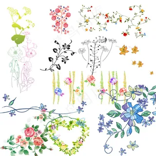 各种花卉素材图片