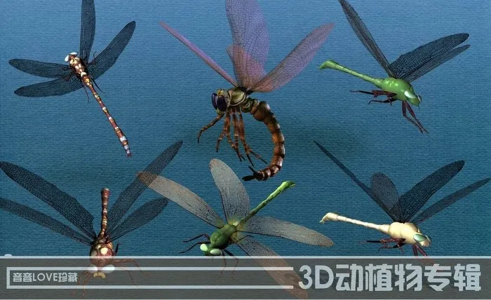 高清3D蜻蜓图片(6000X4010(DPI:300))psd模版下载
