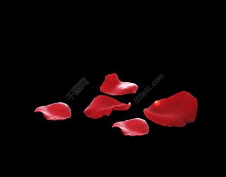 玫瑰花瓣 PSD分层