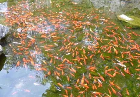 昆明动物园图片