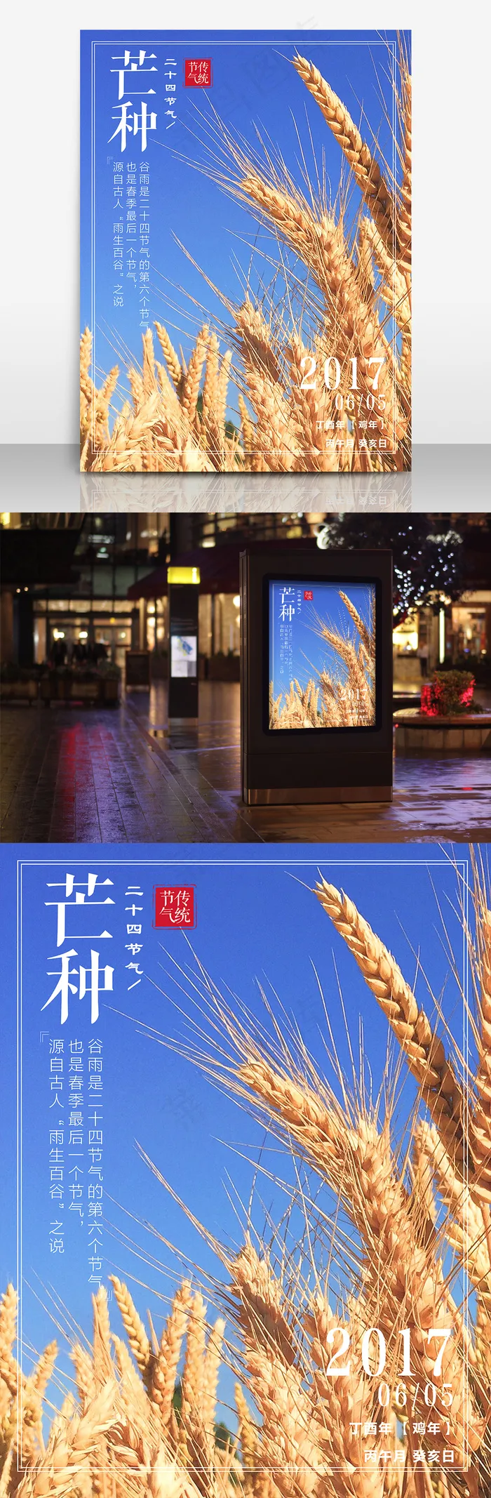 传统二十四节气之芒种海报