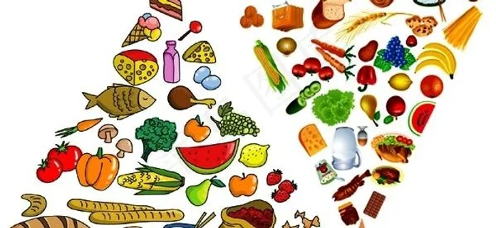 由各种各样的食物金字塔矢量素材