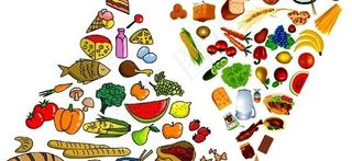 由各种各样的食物金字塔矢量素材