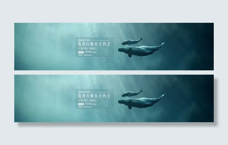 动物banne图片psd模版下载