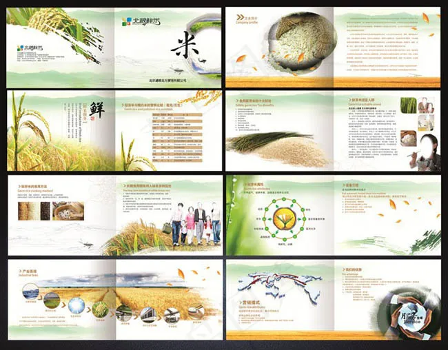 大米宣传手册(6803X2551(DPI:300))psd模版下载