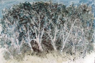 白皮松铜版纸综合材料