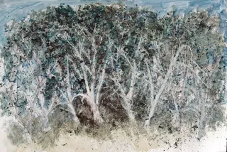 白皮松铜版纸综合材料