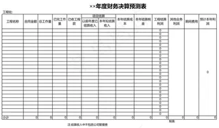 年度财务决算预测表
