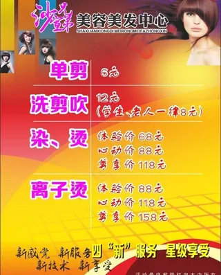 沙宣兄弟美发海报图片