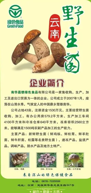 野生菌展架图片