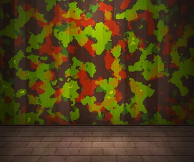 军队内部的背景