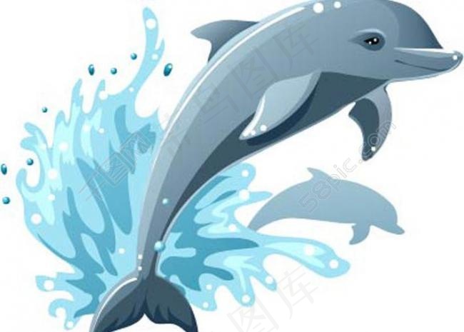 可爱 海豚图片eps,ai矢量模版下载
