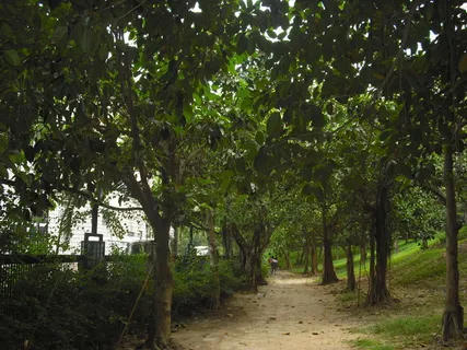 深圳大梅沙绿茵小路图片