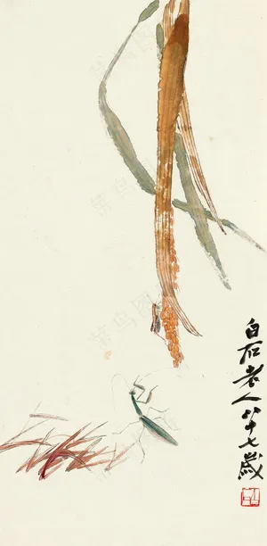 稻穗图片 稻穗图片