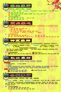 四季养生展宝