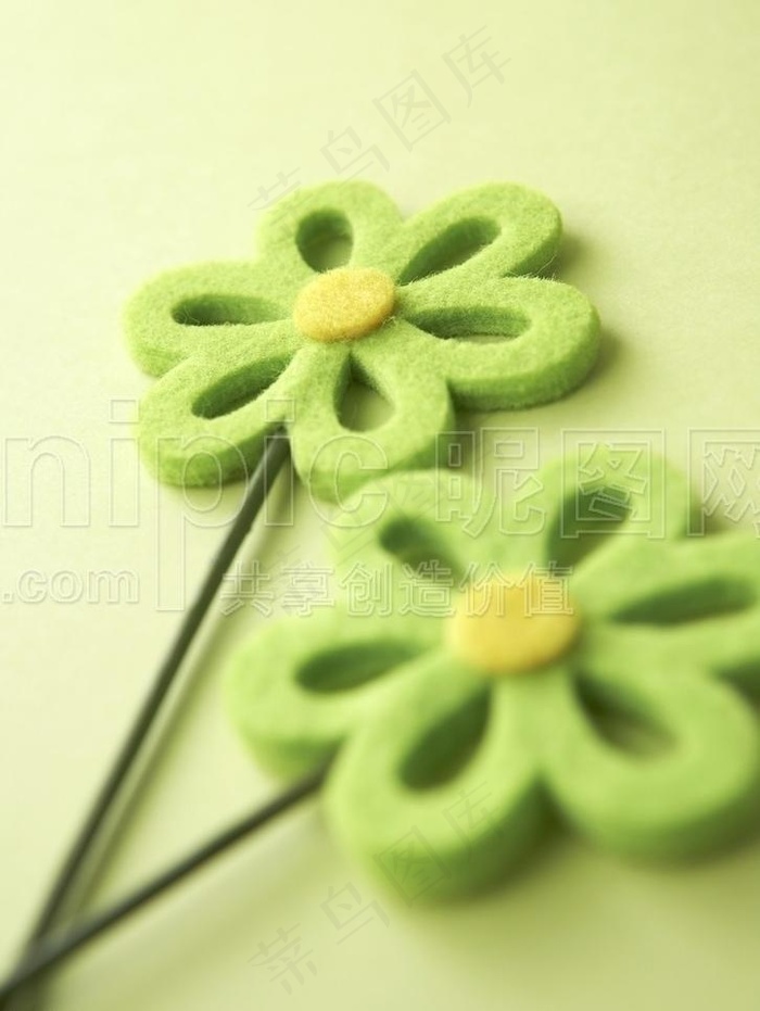 海绵花图片