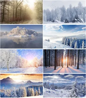 美丽的雪景 美丽的雪景