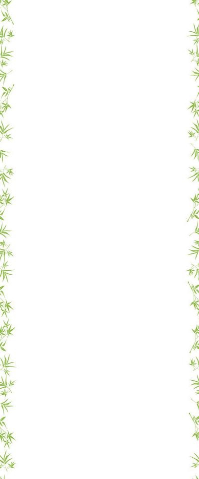 竹子花边白色背景图片