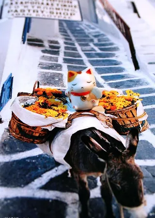 可爱招财猫图片