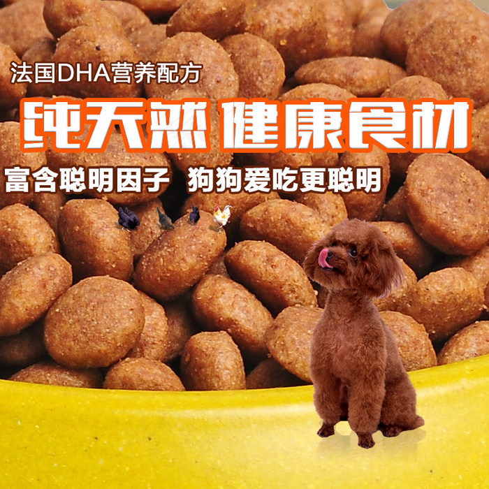 狗粮主图psd模版下载