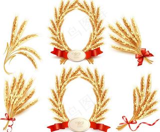 麦穗矢量素材图片