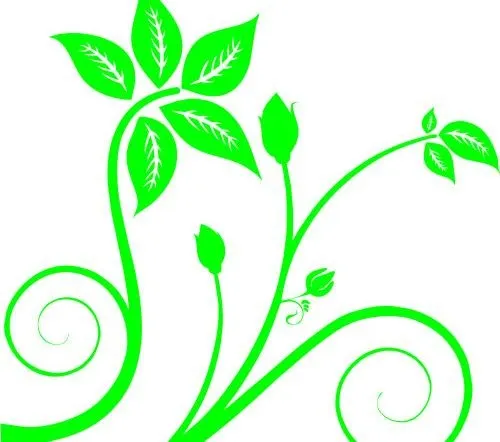 花叶花藤cdr矢量模版下载