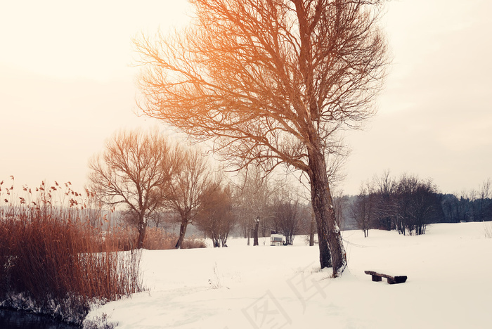 美丽雪地风景