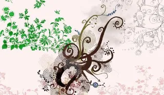 精美PSD花边素材 下载