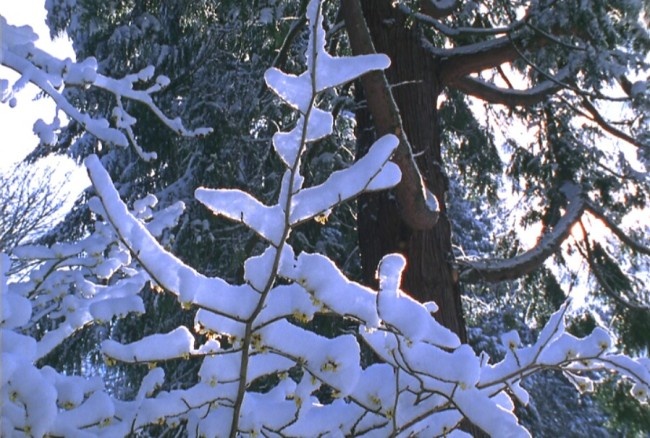 雪景模板下载