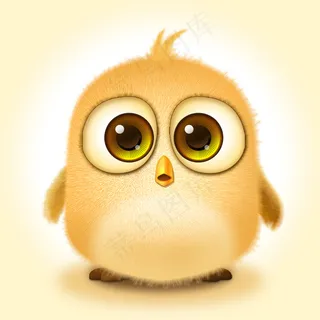 可爱的小鸟可爱的小鸡