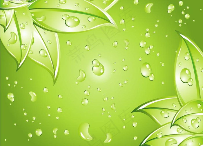 清新绿叶背景图片