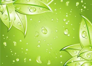 清新绿叶背景图片