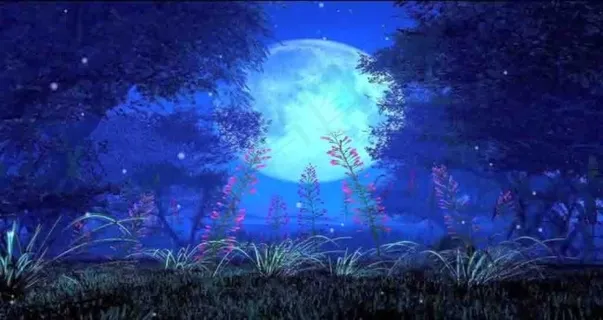 月夜图片 月夜图片