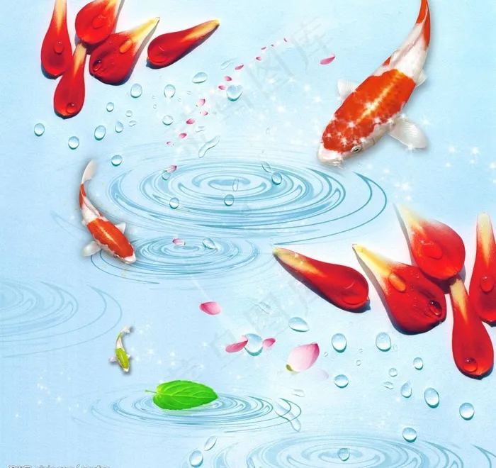 水中鱼图片(4000X4000(DPI:300))psd模版下载