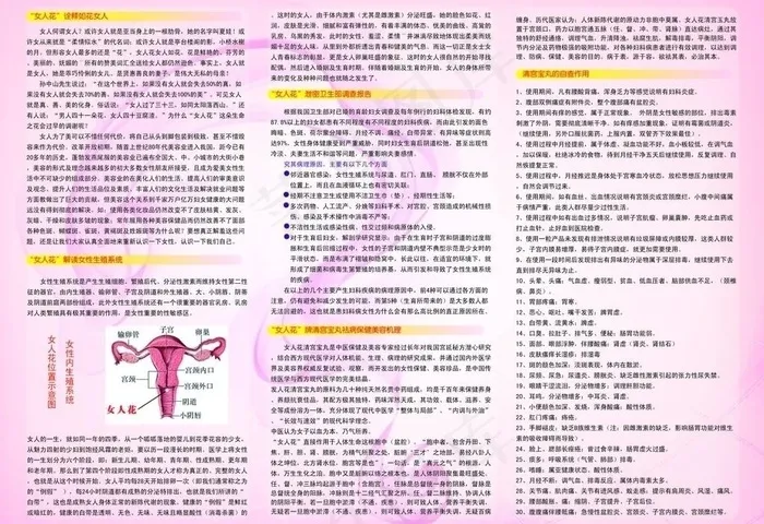 女人花图片ai矢量模版下载