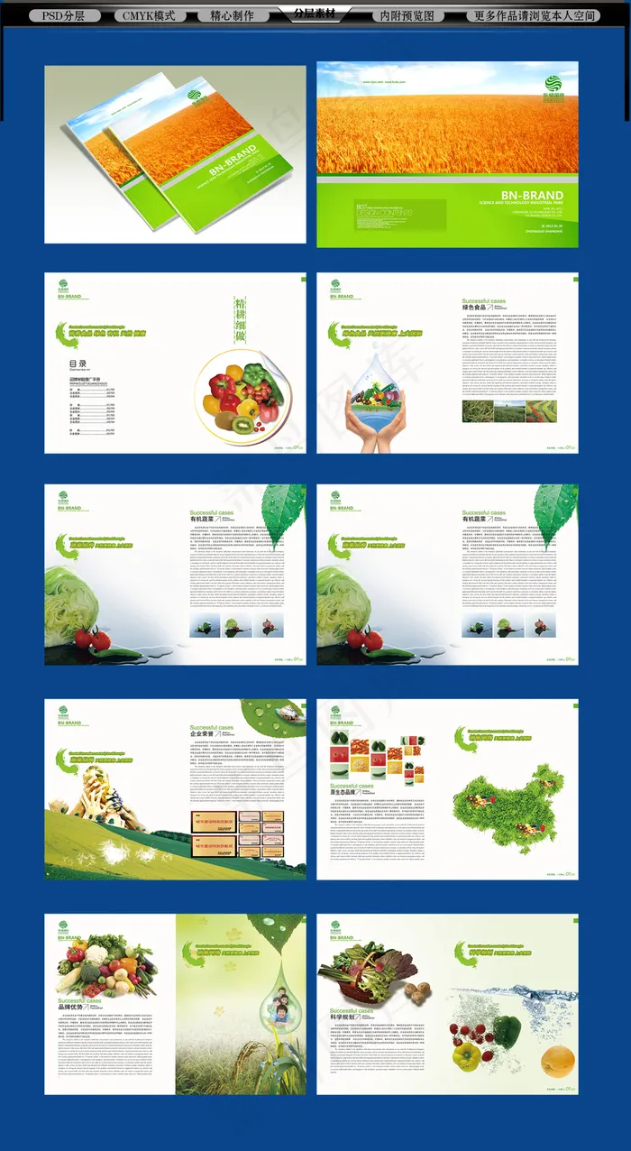 水果蔬菜果汁农业画册(2155X1462(DPI:300))psd模版下载