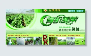 有机蔬菜广告图片