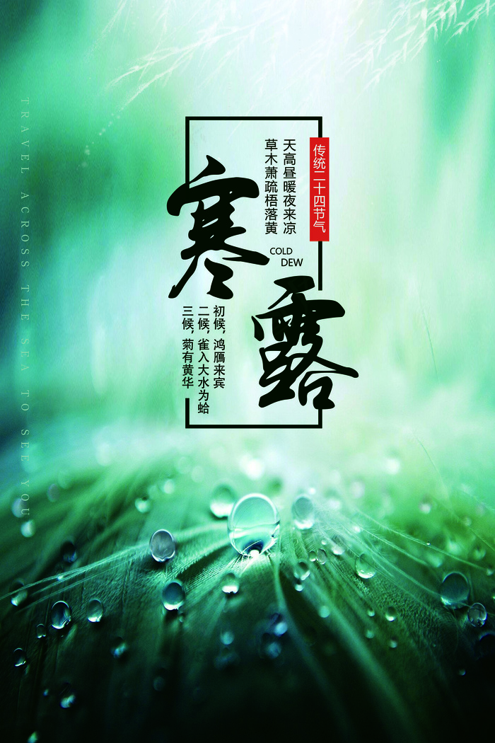 2017大气简洁中国风寒露节气海报