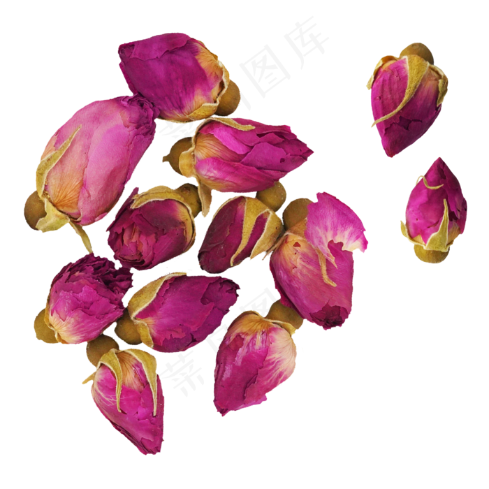紫色玫瑰花茶,免抠元素(3000*3000px 300 dpi )