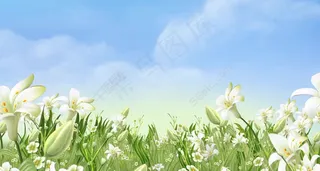 晴朗的春天