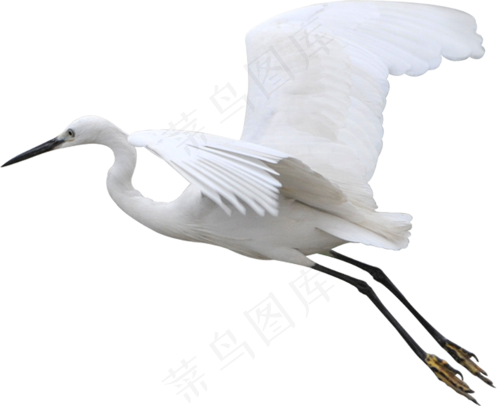 飞鹤免抠素材PNG分层