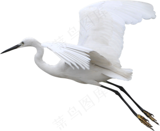 飞鹤免抠素材PNG分层