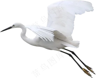 飞鹤免抠素材PNG分层