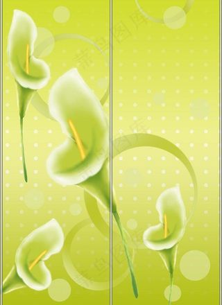 马蹄莲移门装饰画