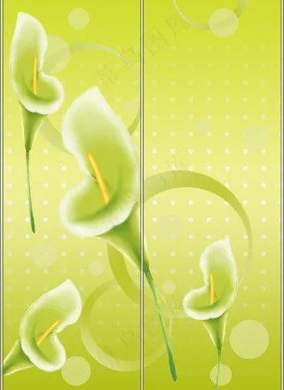 马蹄莲移门装饰画