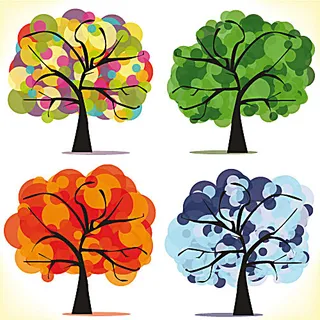 树木的四季变化