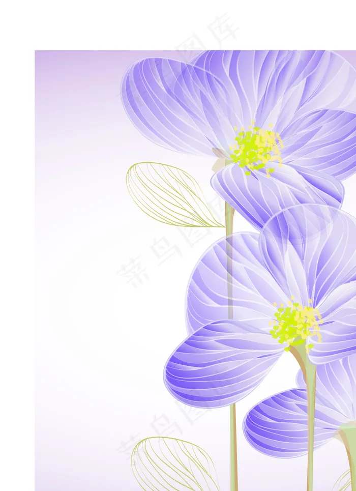 精致的花朵01矢量eps,ai矢量模版下载